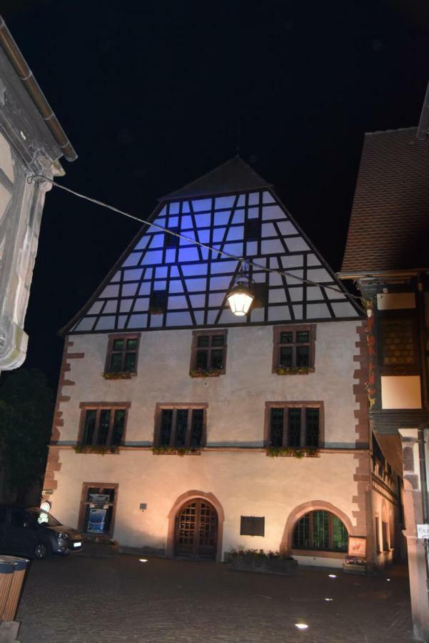 Le Cerisier Villa Kaysersberg-Vignoble Bagian luar foto