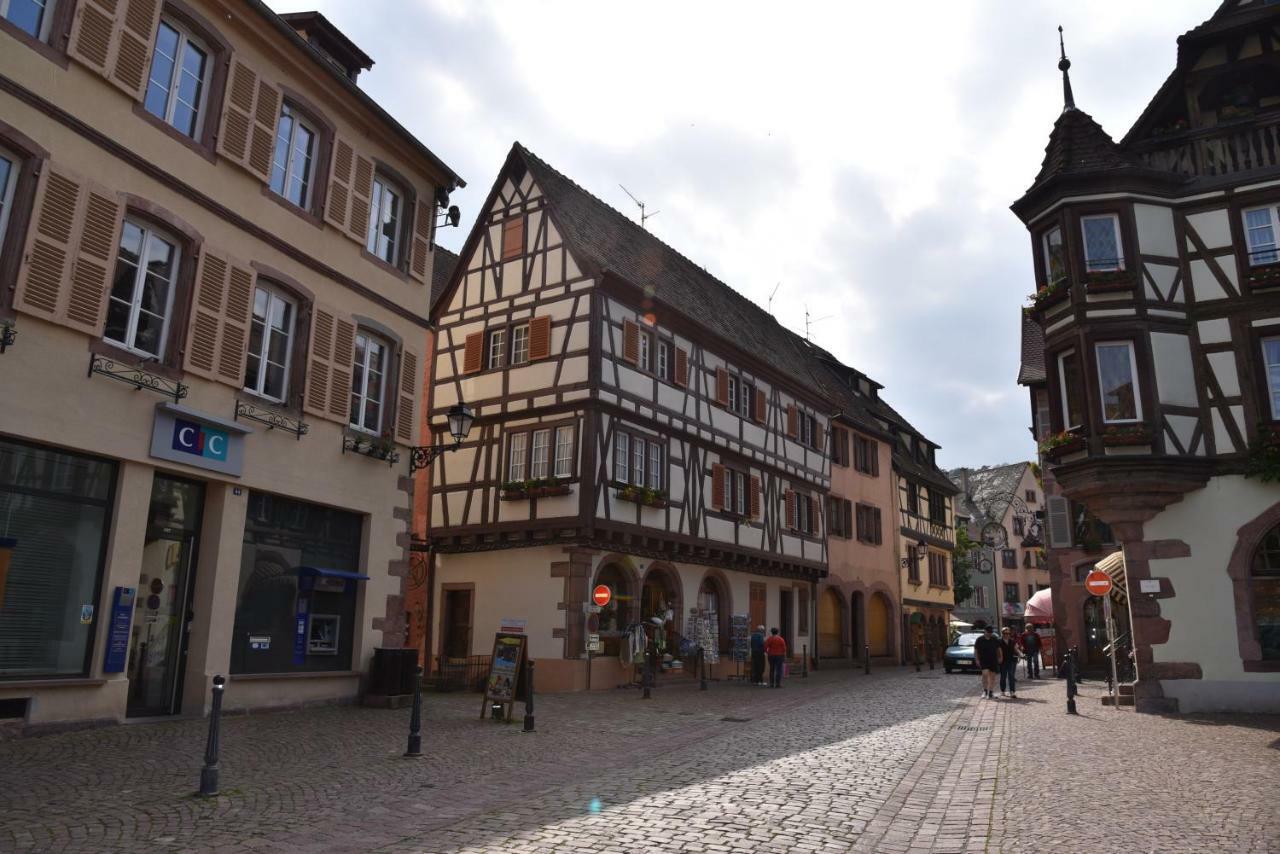 Le Cerisier Villa Kaysersberg-Vignoble Bagian luar foto
