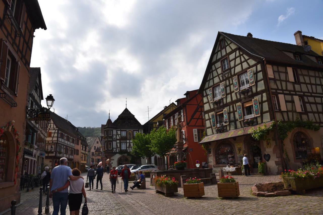 Le Cerisier Villa Kaysersberg-Vignoble Bagian luar foto