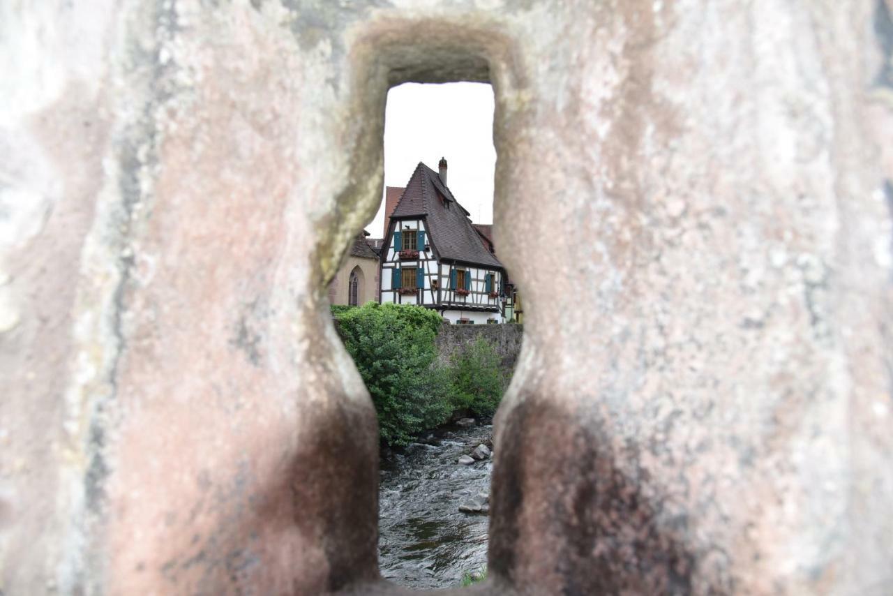 Le Cerisier Villa Kaysersberg-Vignoble Bagian luar foto