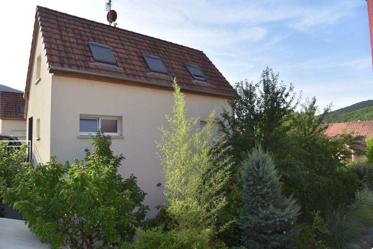 Le Cerisier Villa Kaysersberg-Vignoble Bagian luar foto