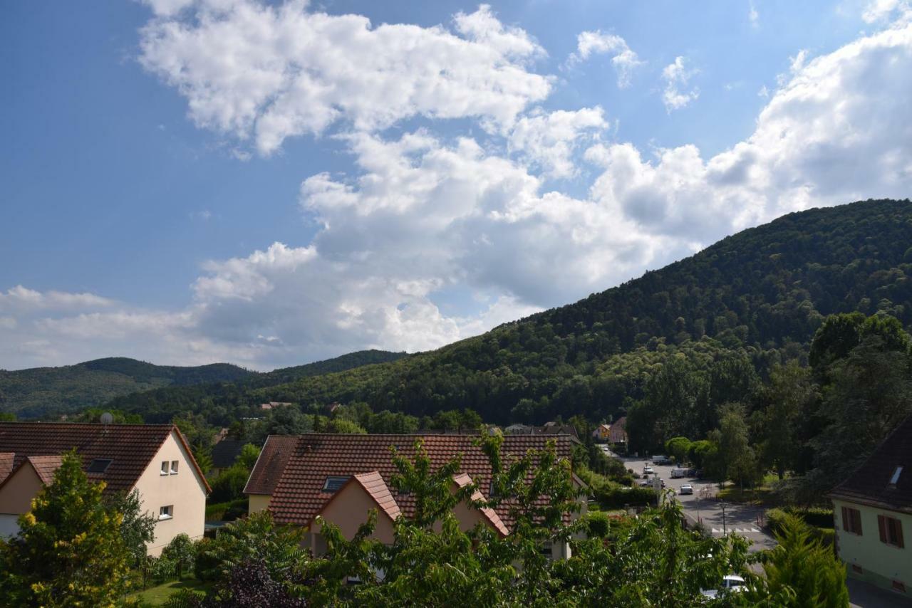 Le Cerisier Villa Kaysersberg-Vignoble Bagian luar foto