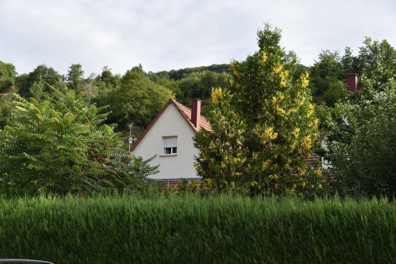 Le Cerisier Villa Kaysersberg-Vignoble Bagian luar foto