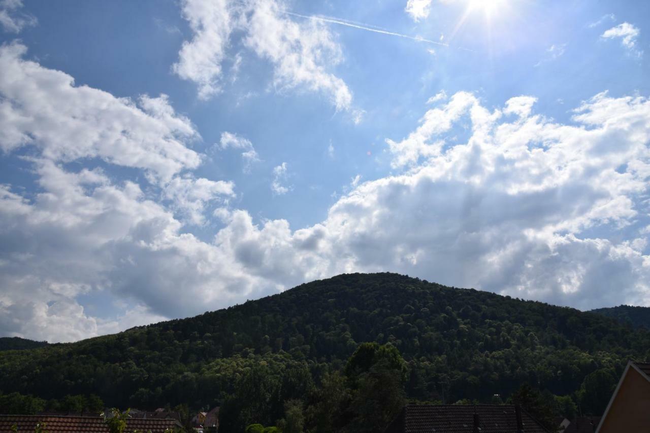 Le Cerisier Villa Kaysersberg-Vignoble Bagian luar foto